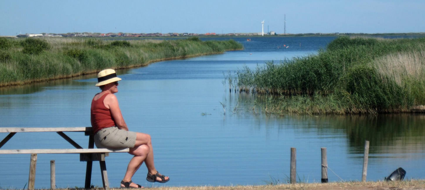 Vandre om Nissum Fjord